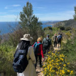 Groupe de randonneurs marchant sur un sentier avec vue sur la mer.